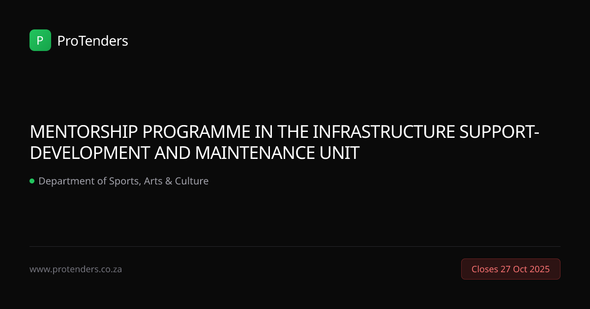 MENTORSHIP PROGRAMME IN THE INFRASTRUCTURE SUPPORT- DEVELOPMENT AND ...